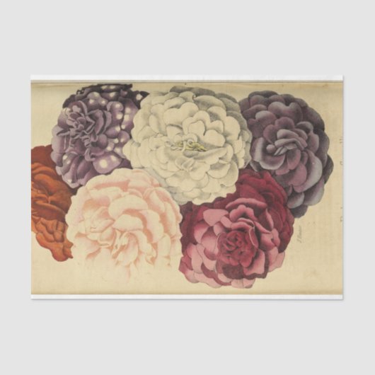 Floral Ephemera Decoupage Paarse Wit Roze Tissuepapier (Voorkant)