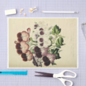 Floral Ephemera Decoupage Paarse Witte Pansies Tissuepapier (Craft)