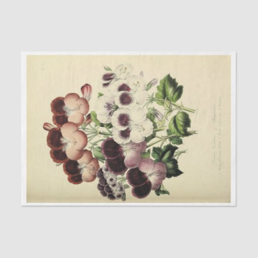 Floral Ephemera Decoupage Paarse Witte Pansies Tissuepapier (Voorkant)