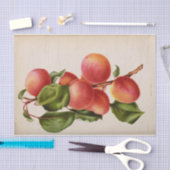 Floral Ephemera Decoupage Pink Peach Tissuepapier (Craft)