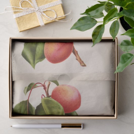 Floral Ephemera Decoupage Pink Peach Tissuepapier (Geschenk)