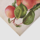 Floral Ephemera Decoupage Pink Peach Tissuepapier (Detail)