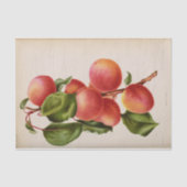 Floral Ephemera Decoupage Pink Peach Tissuepapier (Voorkant)