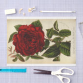 Floral Ephemera Decoupage Red Rose Tissuepapier (Craft)