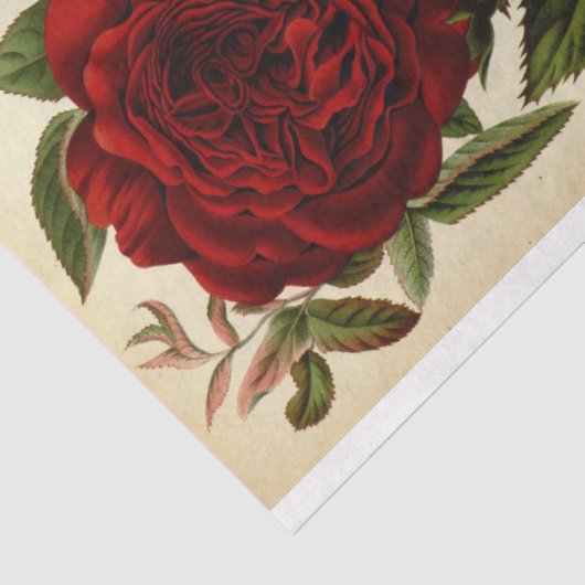 Floral Ephemera Decoupage Red Rose Tissuepapier (Detail)