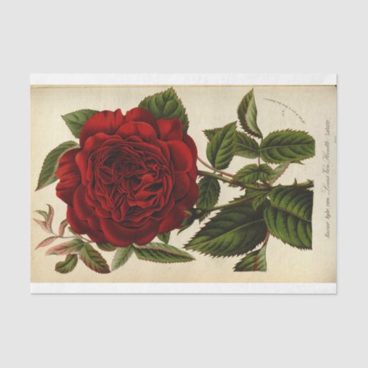 Floral Ephemera Decoupage Red Rose Tissuepapier (Voorkant)