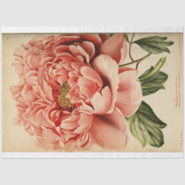 Floral Ephemera Decoupage Roze pioen Tissuepapier