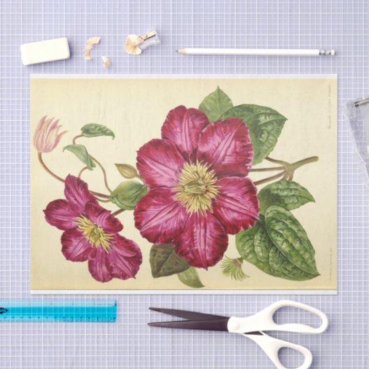 Floral Ephemera Decoupage Roze Tissuepapier (Craft)