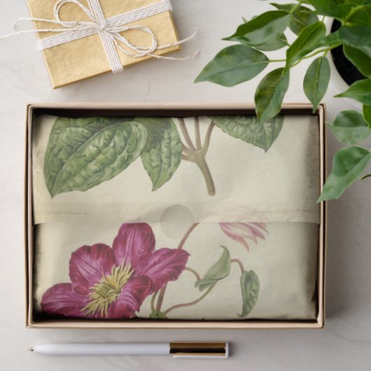 Floral Ephemera Decoupage Roze Tissuepapier (Geschenk)