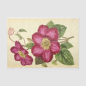Floral Ephemera Decoupage Roze Tissuepapier (Voorkant)