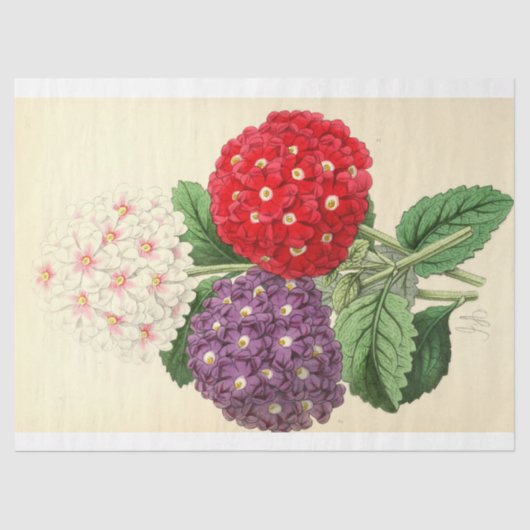 Floral Ephemera Decoupage Roze Wit Paarse Tissuepapier (Voorkant)