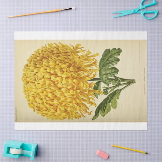 Floral Ephemera ontkoppeling Gele bloemen Tissuepapier (Craft)