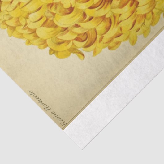  Floral Ephemera ontkoppeling Gele bloemen Tissuepapier (Detail)