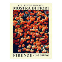 Floral Exhibit No. 3 Poster