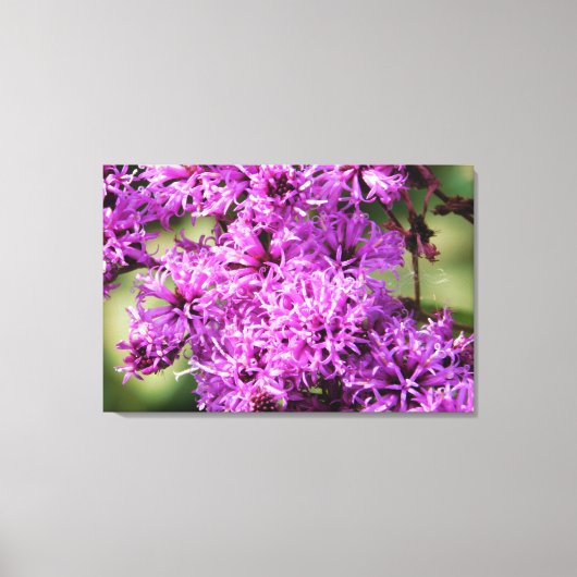 Floral Fantasy Canvas Afdruk (Voorkant)
