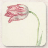 Floral Fine Art: Roze en witte Tulp Drankjes Onderzetter (Voorkant)