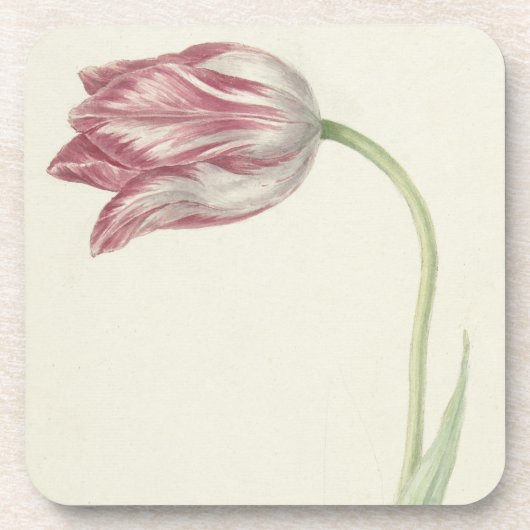  Floral Fine Art: Roze en witte Tulp Drankjes Onderzetter (Voorkant)