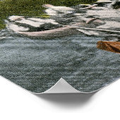 Floral Flag, Belle Isle Park, Detroit 1915  Poster (Hoek)