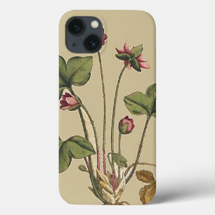 Floral Flower Botanical Garden iPhone 6 Hoesje