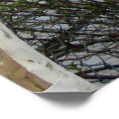 Floral Footbridge Poster (Hoek)