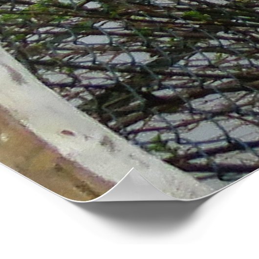 Floral Footbridge Poster (Hoek)