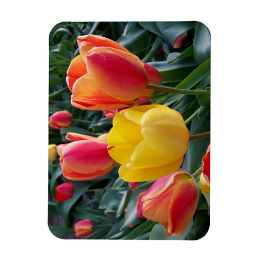 Floral Foto Magneet (Verticaal)