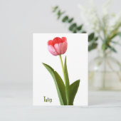 Floral foto van één roze lentetulp Natuur Briefkaart (Staand voorkant)