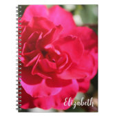 Floral Fotografie Elegant Roze Roos Custom Notitieboek (Voorkant)