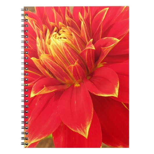 Floral fotografisch notitieboek (Voorkant)