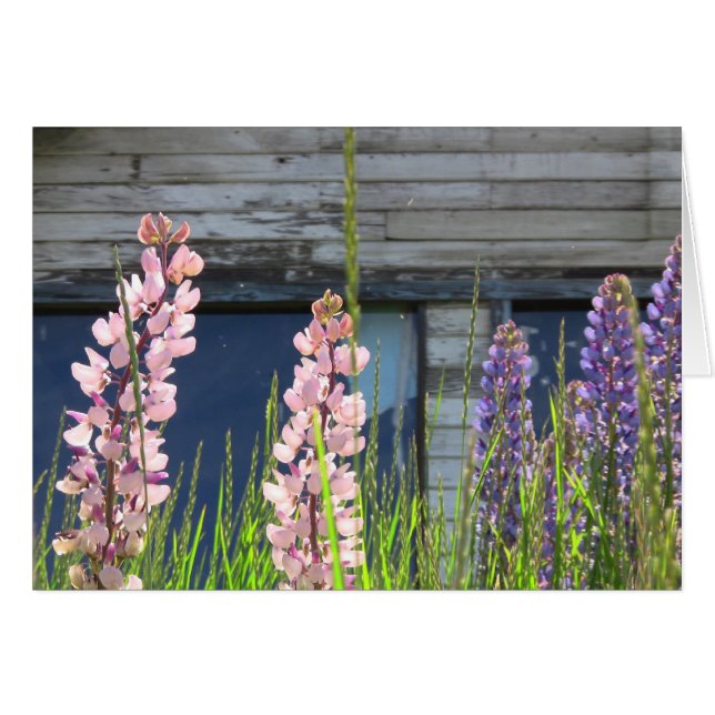 Floral-fotokaart (Voorkant Horizontaal)