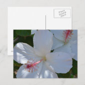 Floral Fragrance Briefkaart (Voorkant / Achterkant)