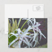Floral Fragrance Briefkaart (Voorkant / Achterkant)