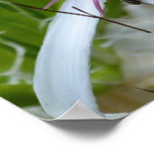 Floral Fragrance Canvas afdrukken Poster (Hoek)