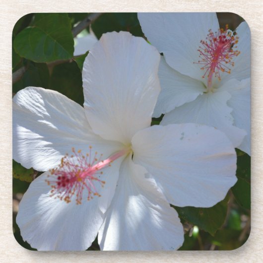 Floral Fragrance Cork Onderzetter (Voorkant)