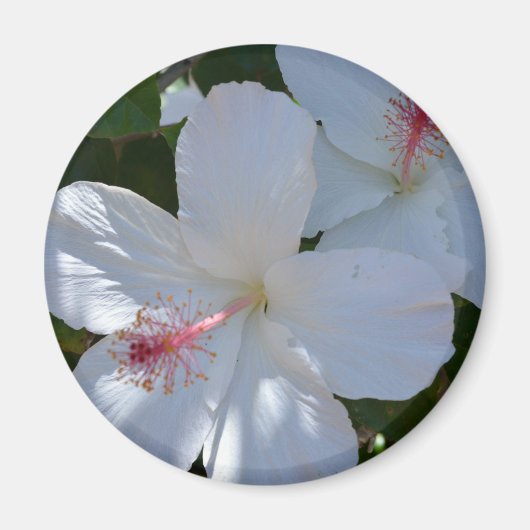 Floral Fragrance Magnet (Voorkant)