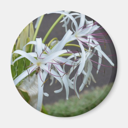 Floral Fragrance Magnet (Voorkant)