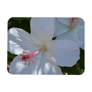 Floral Fragrance Magnet Magneet