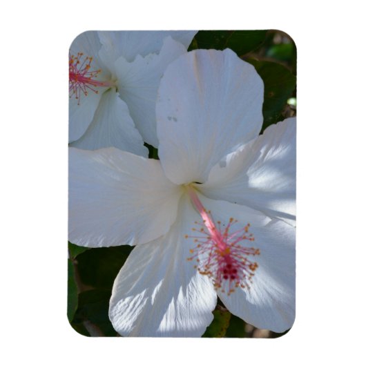 Floral Fragrance Magnet Magneet (Verticaal)