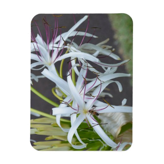 Floral Fragrance Magnet Magneet (Verticaal)