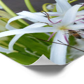 Floral Fragrance poster (Hoek)