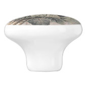 Floral Franse roze Roses Gray Ephemera Keramische Knop (Zijkant)