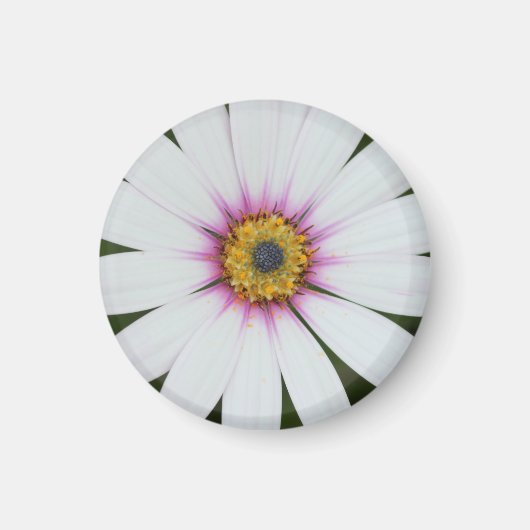 Floral Fridge Magnet (Voorkant)