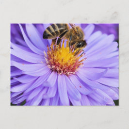 Floral Garden Park Peace Love Briefkaart