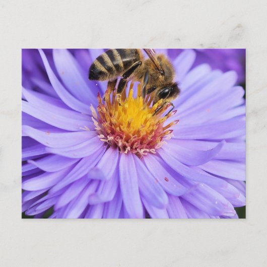 Floral Garden Park Peace Love Briefkaart (Voorkant)