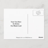 Floral Glas in lood  Briefkaart (Achterkant)