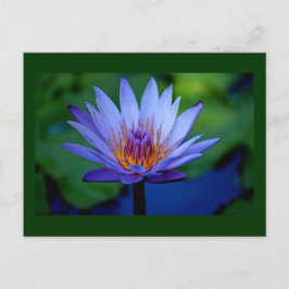 FLORAL GRACE BRIEFKAART