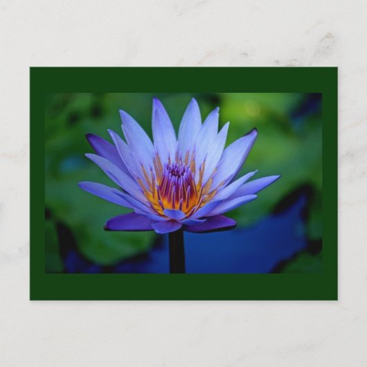 FLORAL GRACE BRIEFKAART (Voorkant)