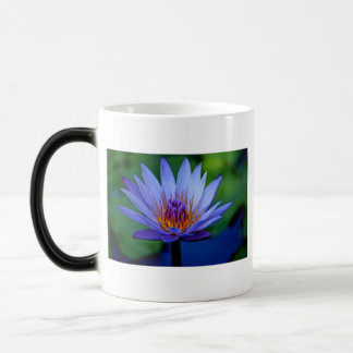 FLORAL GRACE MAGISCHE MOK