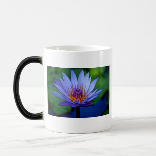 FLORAL GRACE MAGISCHE MOK (Links)
