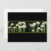Floral Green Black en White Briefkaart (Voorkant / Achterkant)